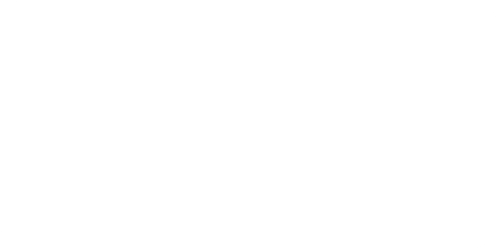 Projektpartner 9